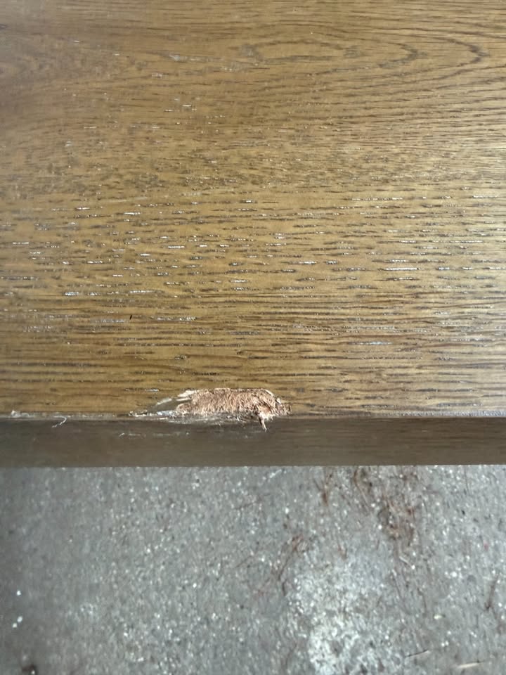 Steve Silver Aubrey Dining Table