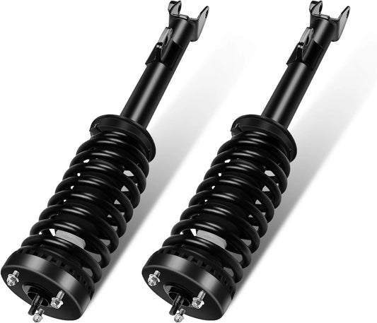 2005-2010 Chrysler 300/Dodge Charger, Magnum - Front Strut Assembly - Pair